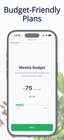MacroPlan: AI Meal Prep screenshot