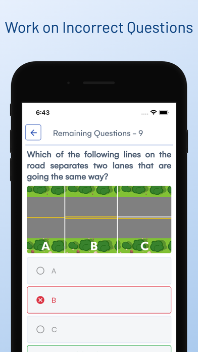 Michigan DMV Driver Test Prep Screenshot