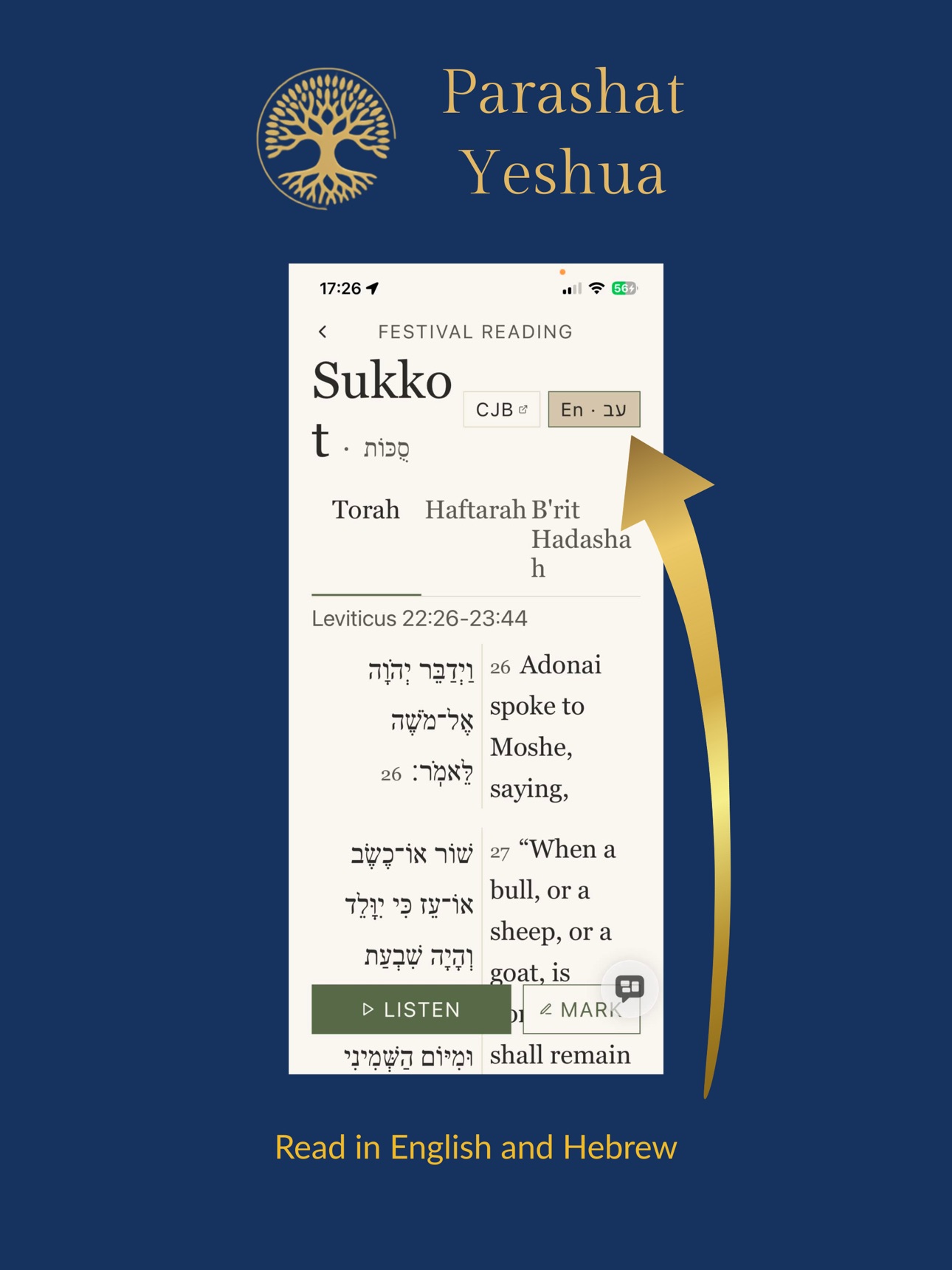 Screenshot 11 of Parashat Yeshua