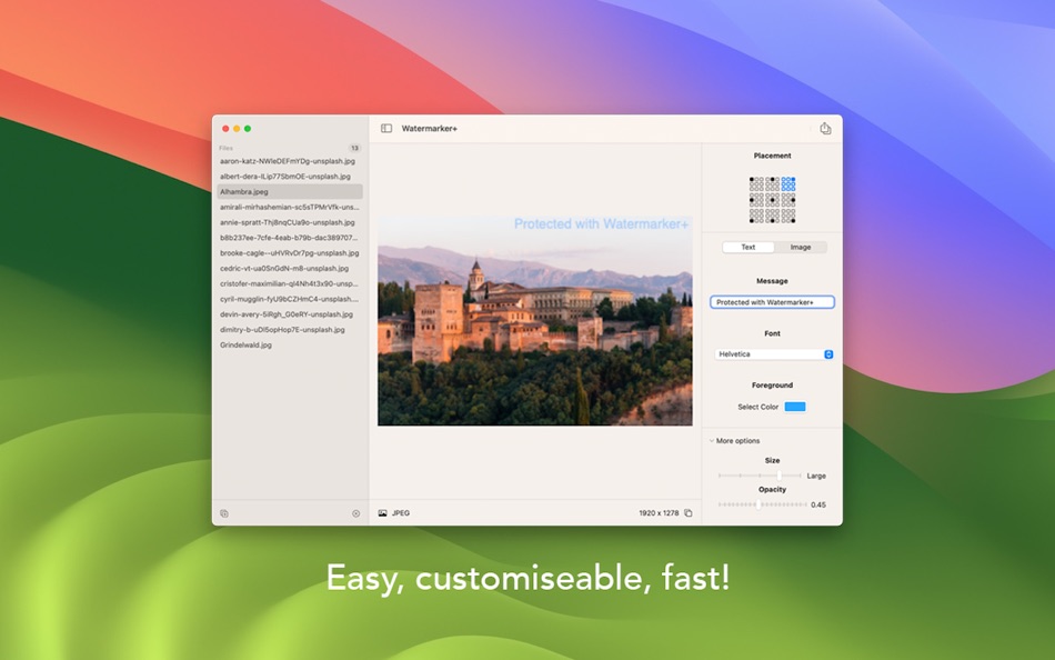 #3. Watermarker + (macOS) 게시자: InSili.co