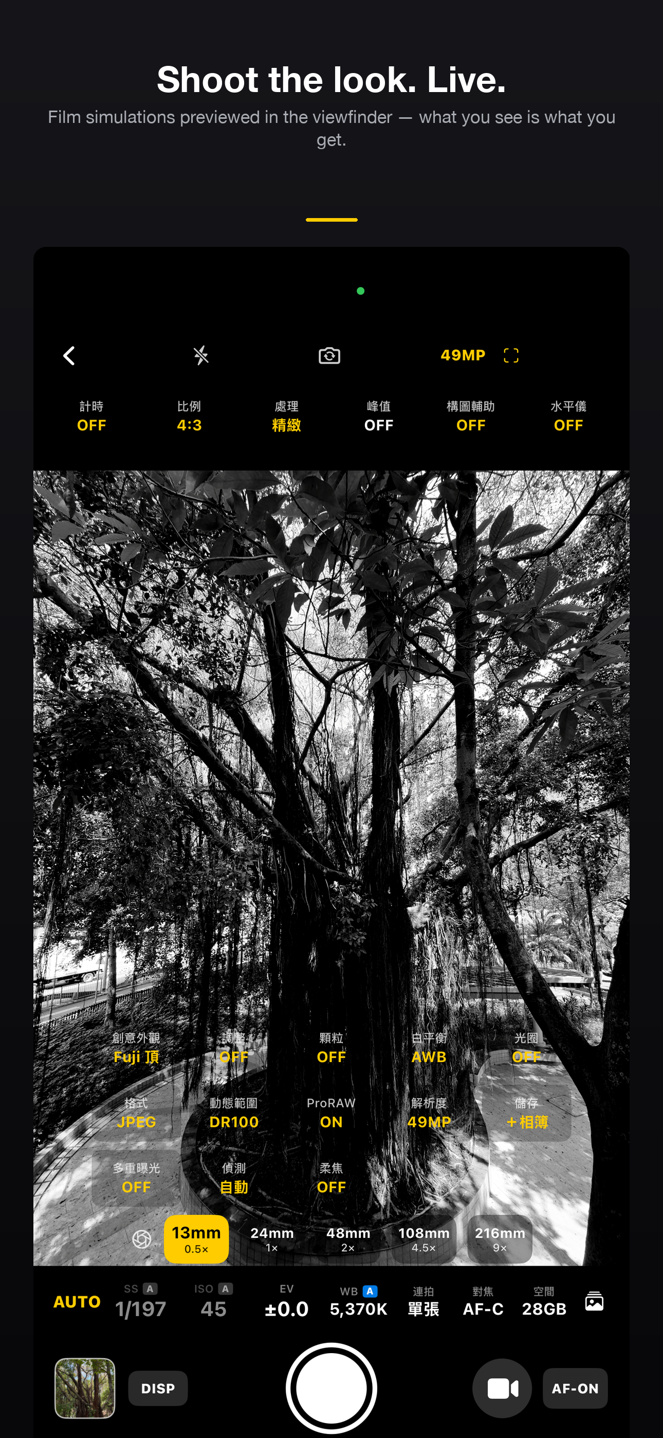 Eternity Pro screenshot 3