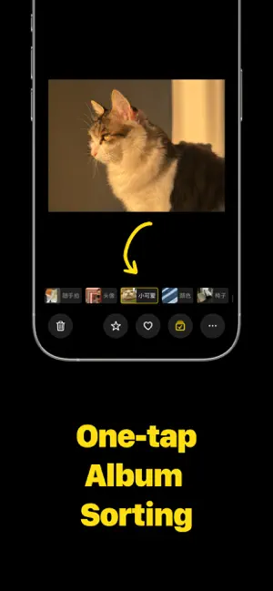Odays: Photo Organizer screenshot 3