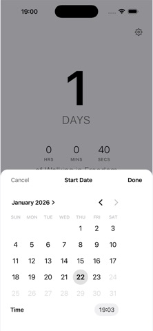Sober Victory Screenshot 2 of 9