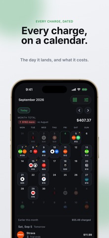 Subscriptions Tracker - SubEye Screenshot 2 of 8