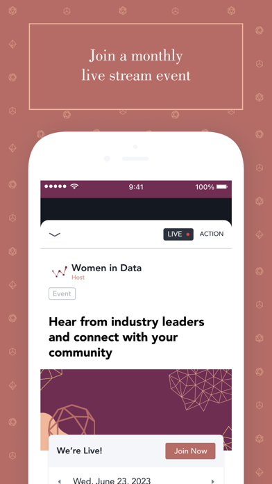 Women in Data Screenshot
