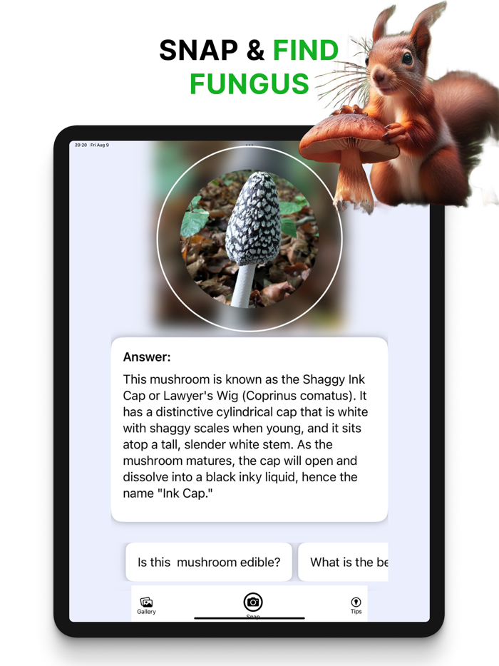 Picture Mushroom-Identifier,AI