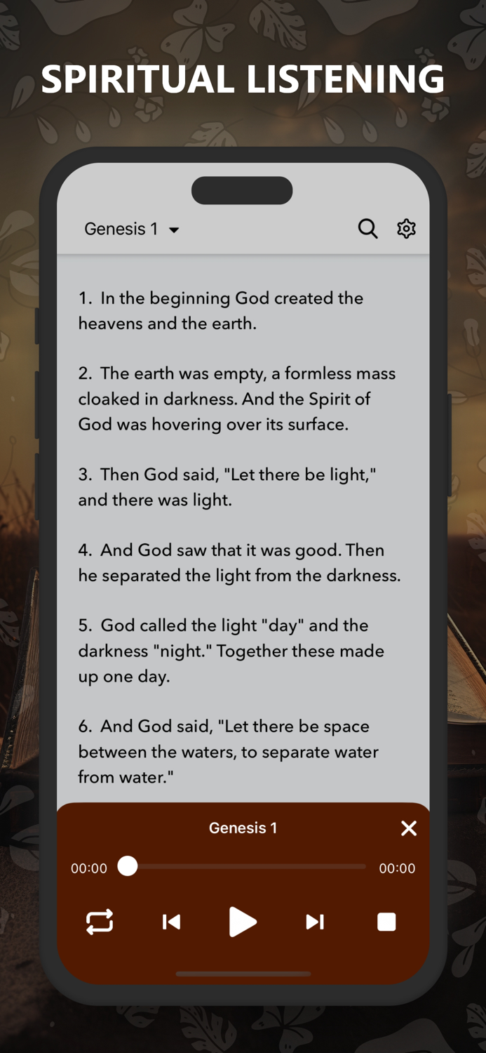 New International Version Pro.