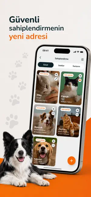 PatiBase screenshot 2