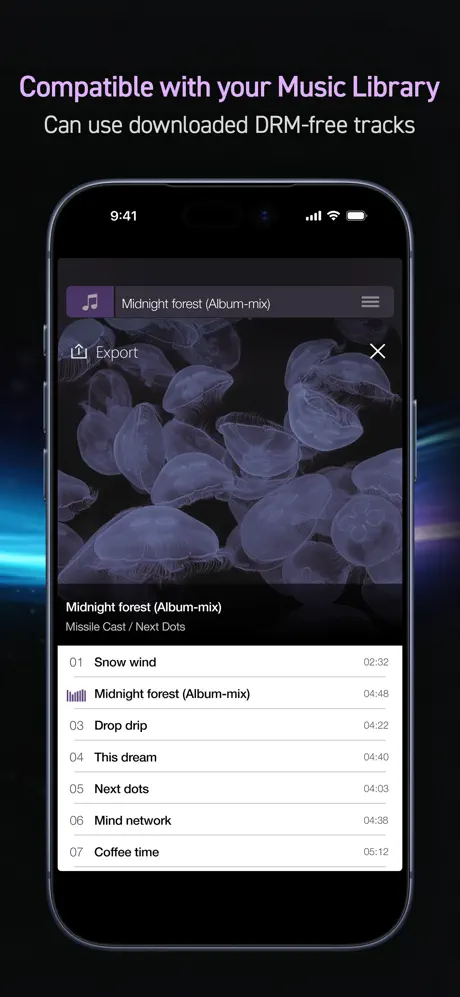 PSOFT Audio Player screenshot 6