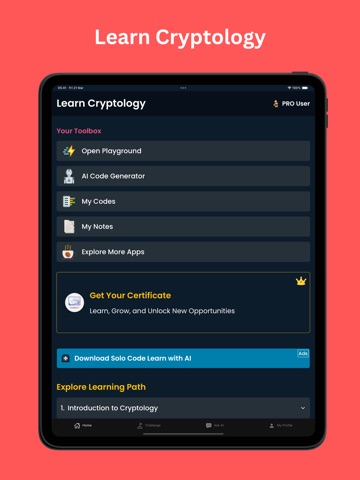 Learn Cryptography: Encryption iPad screenshot