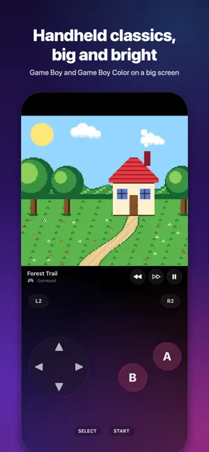 Super Emu screenshot 4