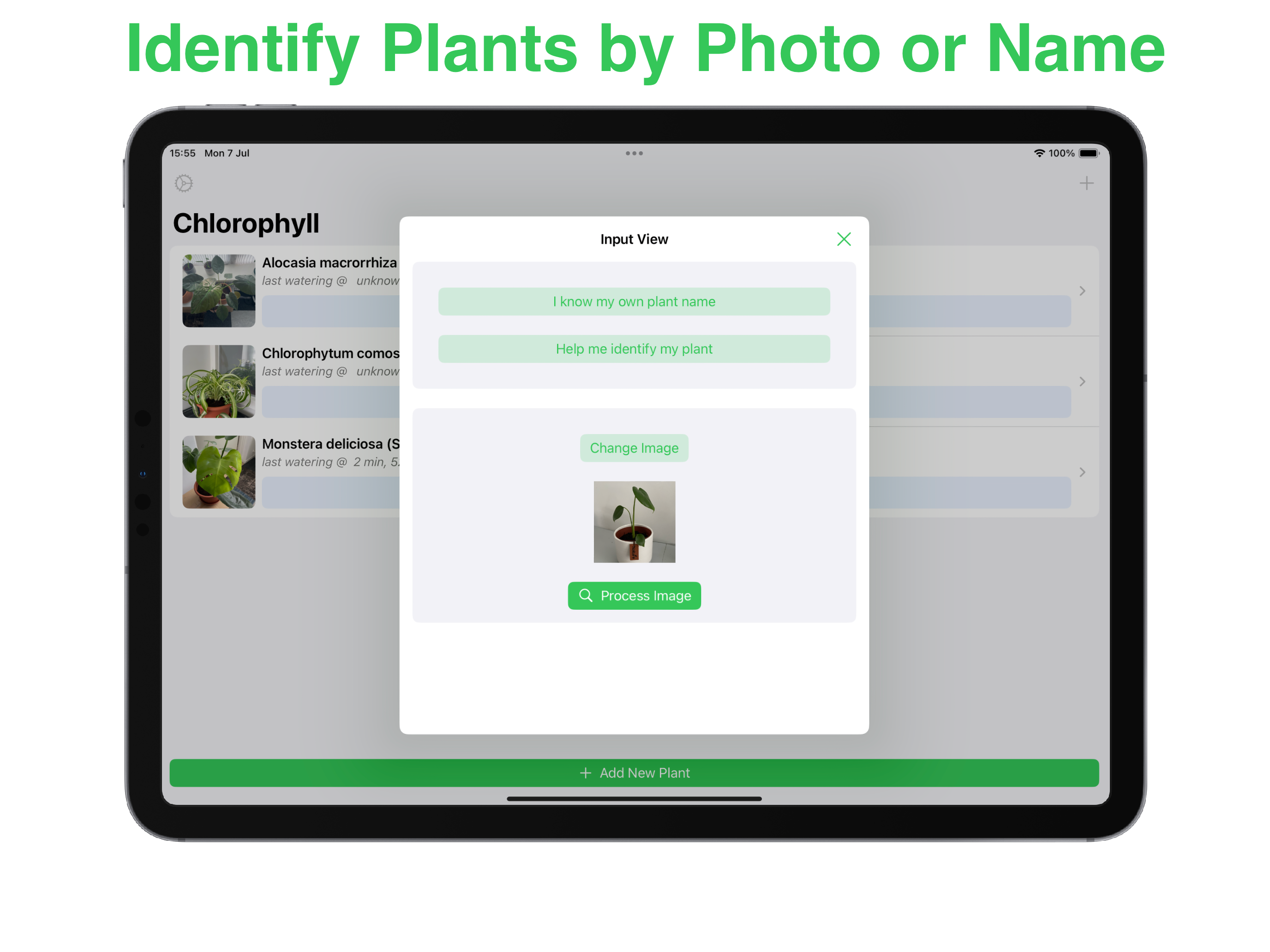 Chlorophyll ABC