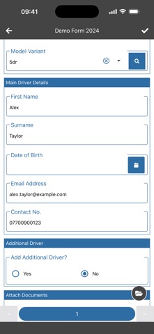 DataForm Pro Screenshot 2 of 4