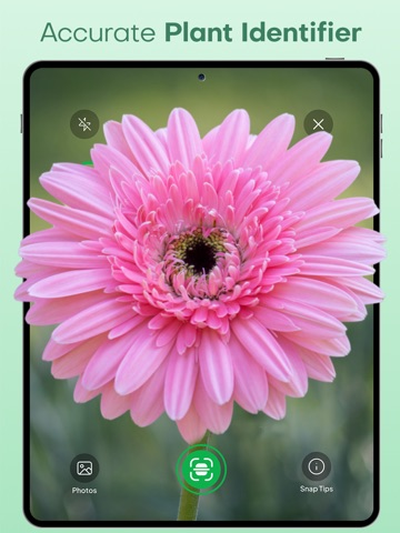 Plantae - AI Plant Identifier iPad screenshot