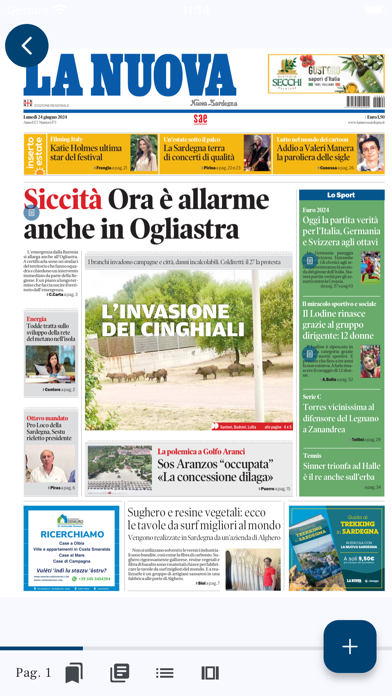 La Nuova Sardegna Digital Screenshot