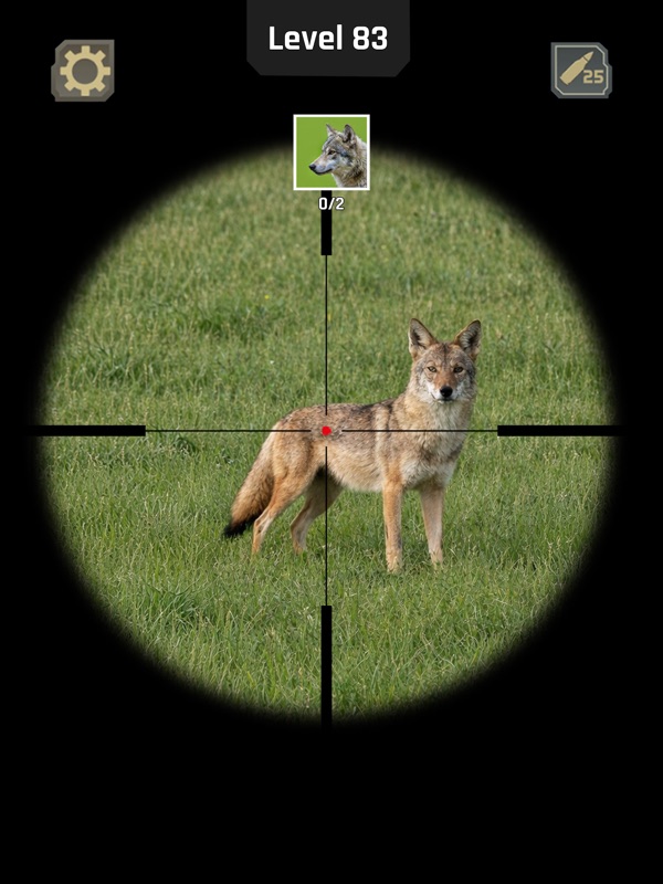 Animal Hunter: Caza de Ciervos screenshot 9