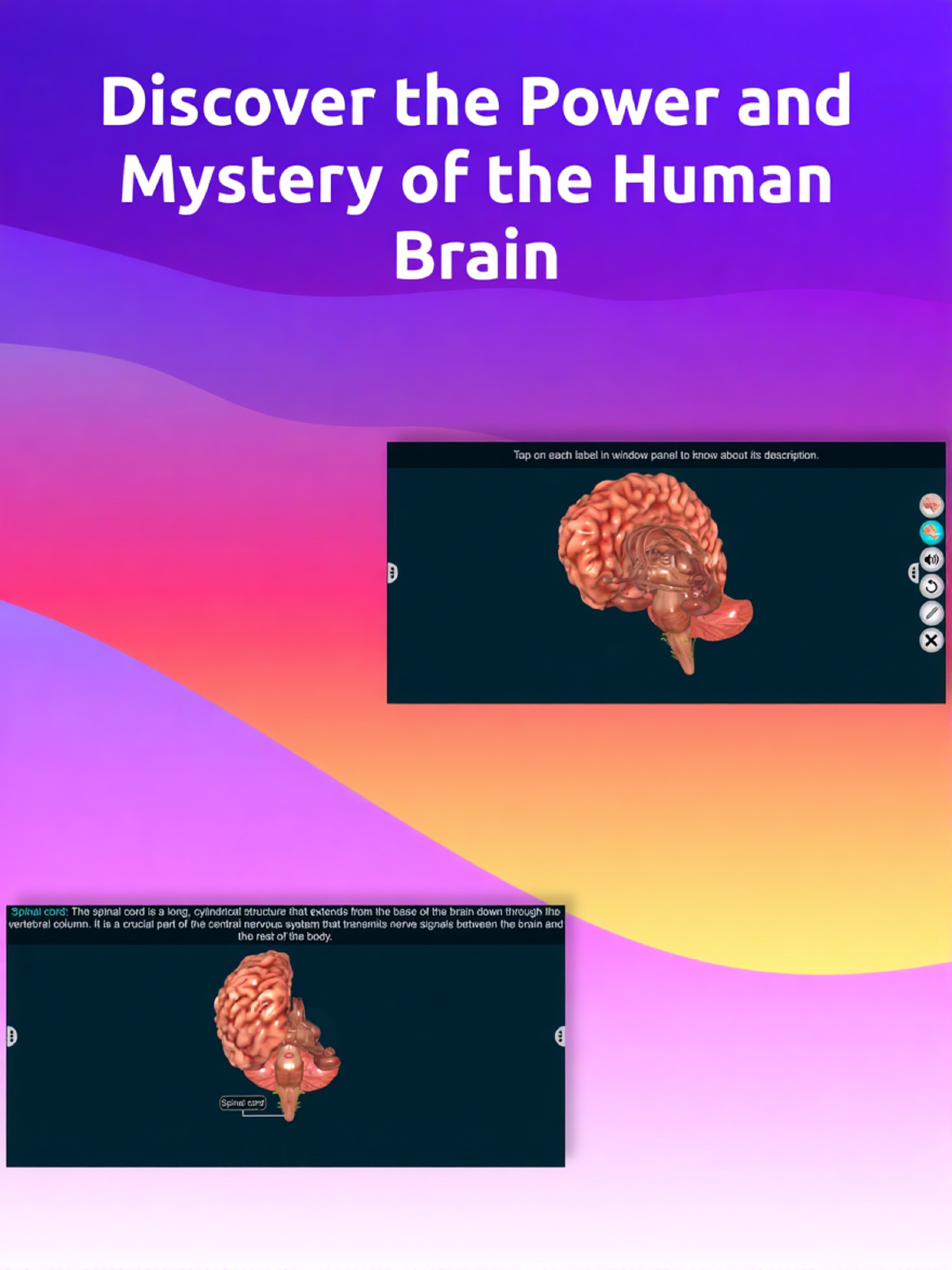 Human Brain by EduTech Era screenshot 10