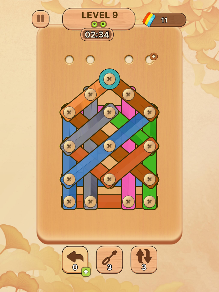 Wood Nuts and Bolts – Pin Puzzle