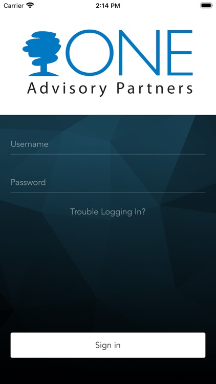 ONE Advisory Partners