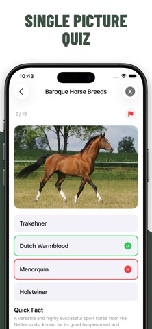 Horse Quiz Guess Breeds screenshot