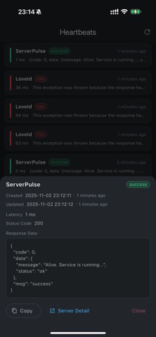 Backend Pulse Screenshot 3 of 4