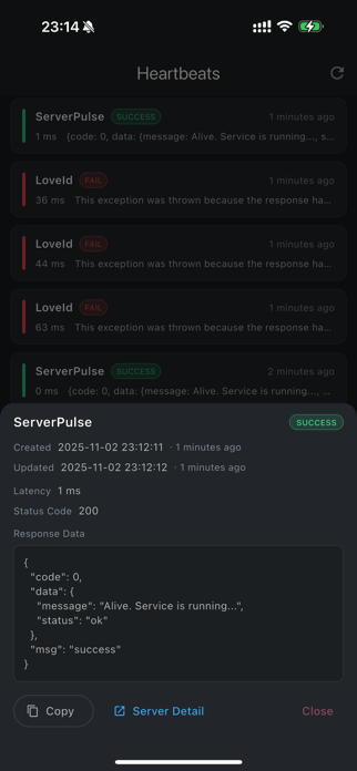Backend Pulse Screenshot 3 of 4