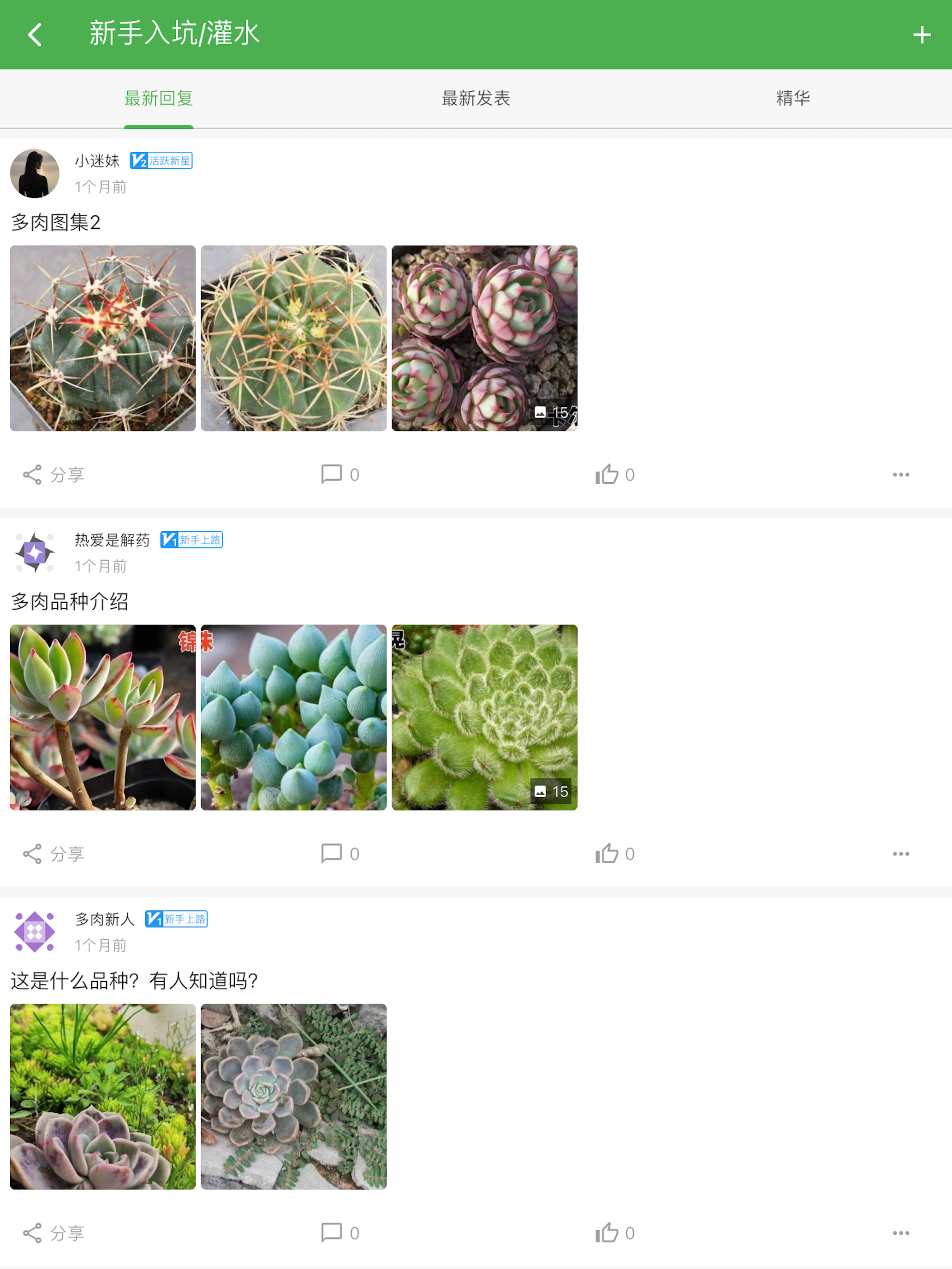 多肉之家 screenshot 12