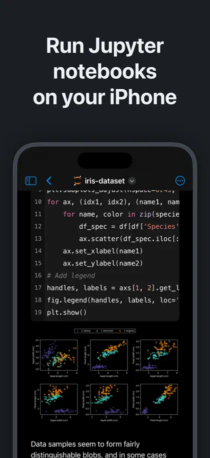 Python IDE & Jupyter – Juno ekran görüntüsü 4 / 6