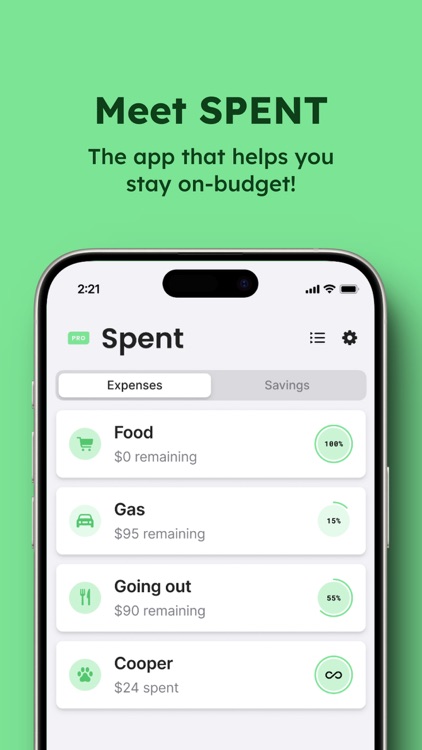 Spent - Track your expenses
