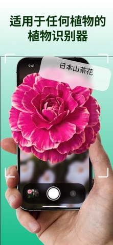 Plant Identifier: Plantico screenshot