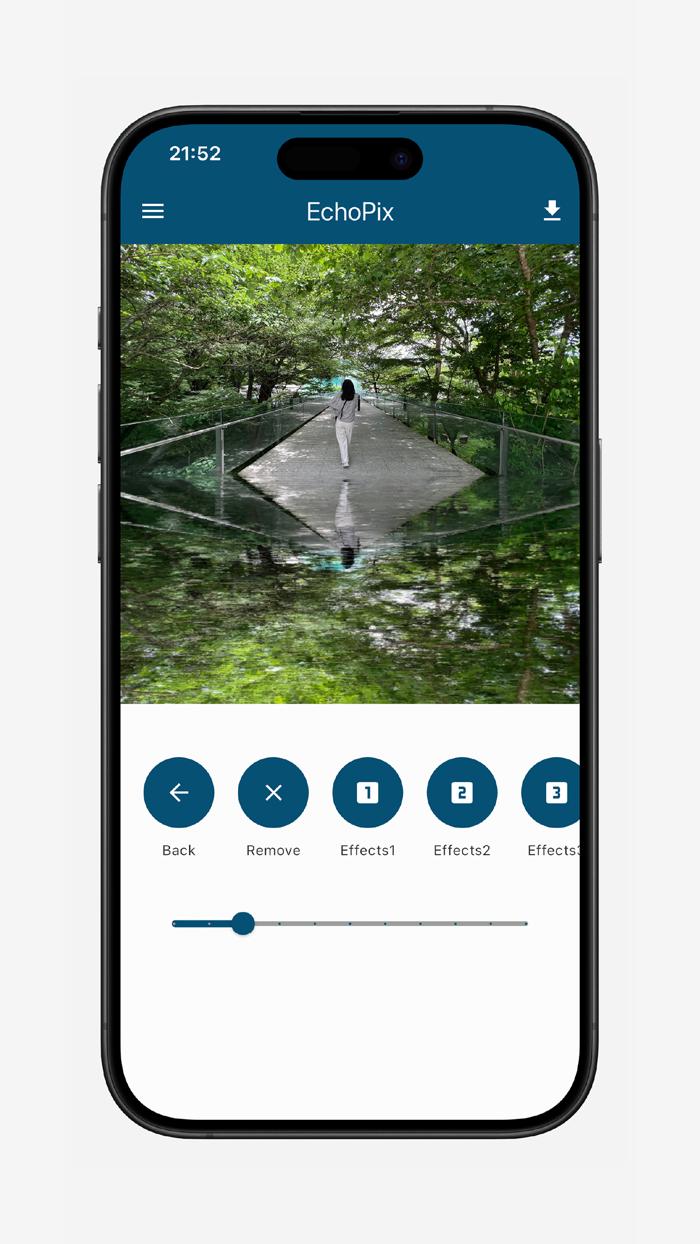 EchoPix Reflection App