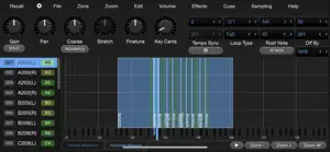 Bliss AUv3 Sampler screenshot 3