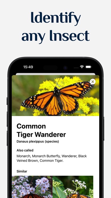 Insect Identifier Picture Screenshot