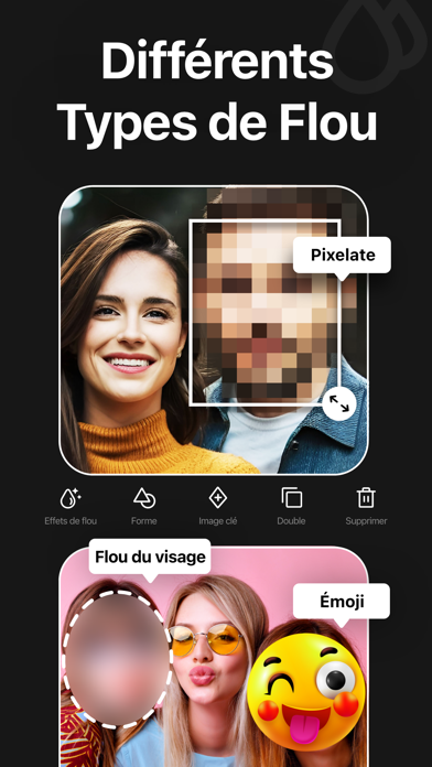 Screenshot #2 pour Floutage Vidéo - Mosaique Flou