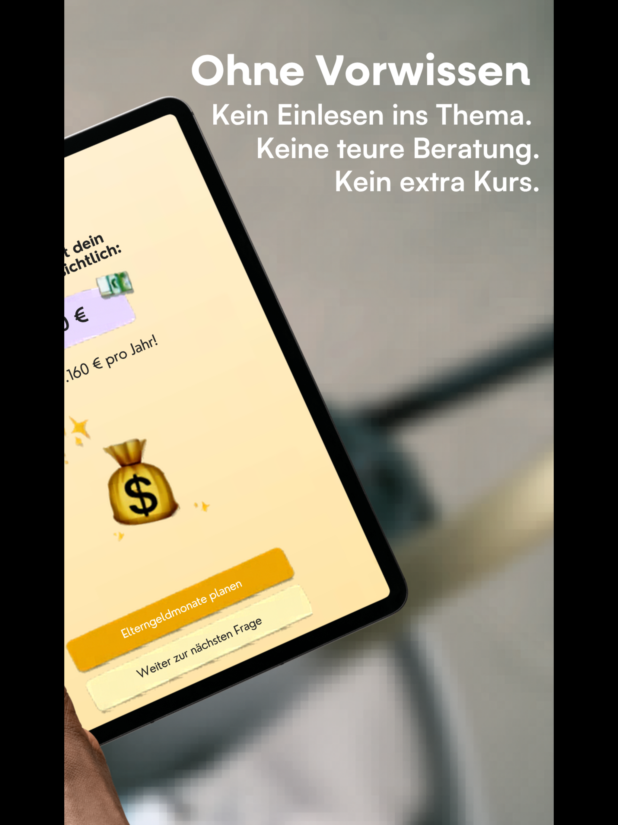 Elterngeld beantragen - formie screenshot 10