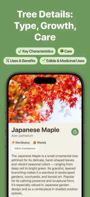 Tree Identifier by TreePic screenshot 3