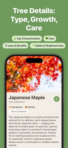 Tree Identifier by TreePic Screenshot 3 of 7