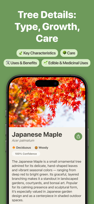 Tree Identifier by TreePic Screenshot 3 of 7
