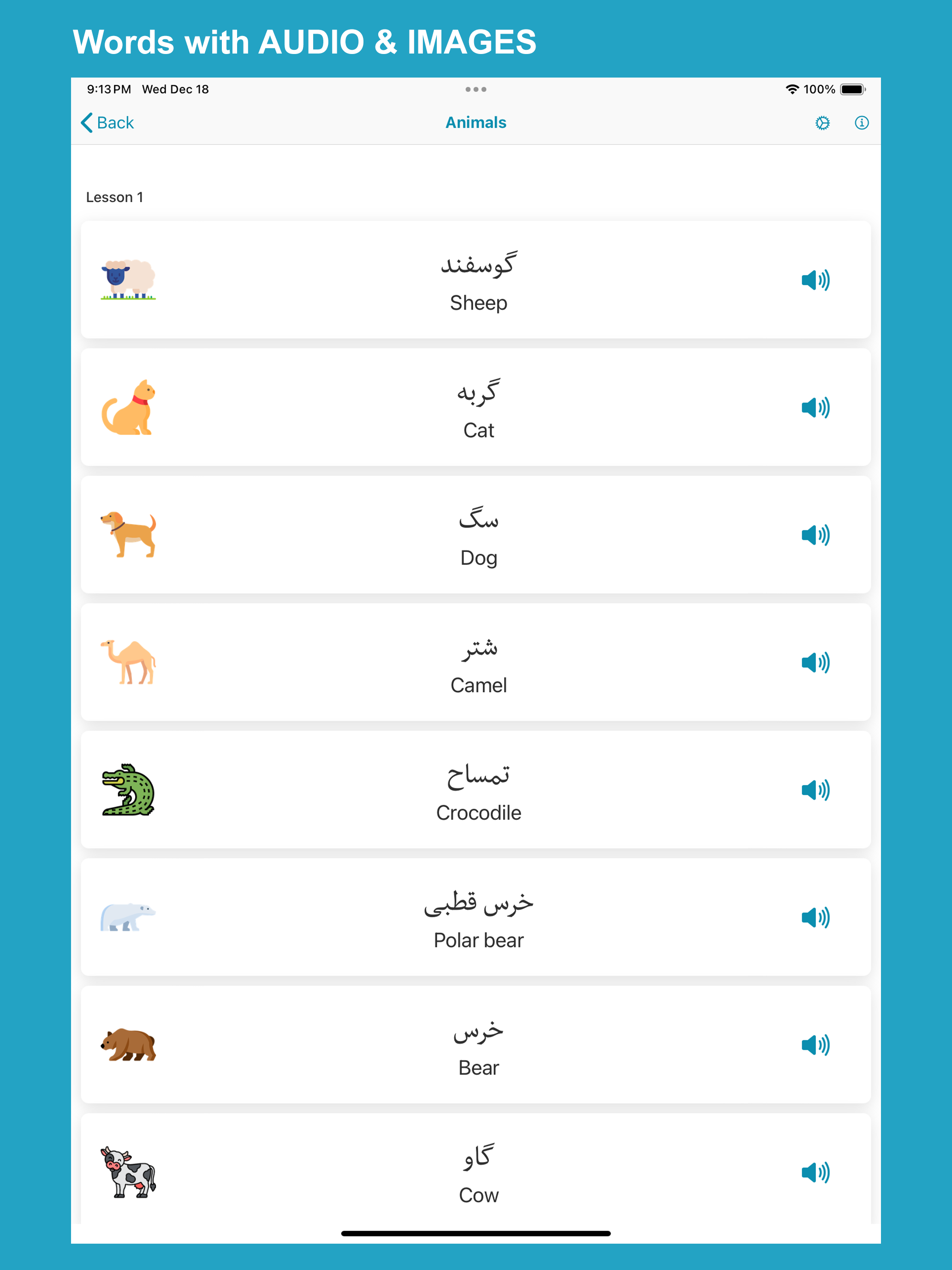 Learn Persian screenshot 9