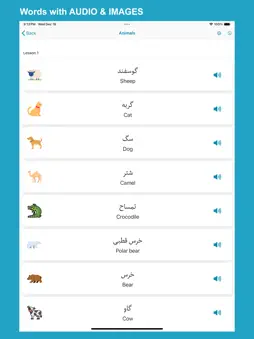 Learn Persian screenshot 9