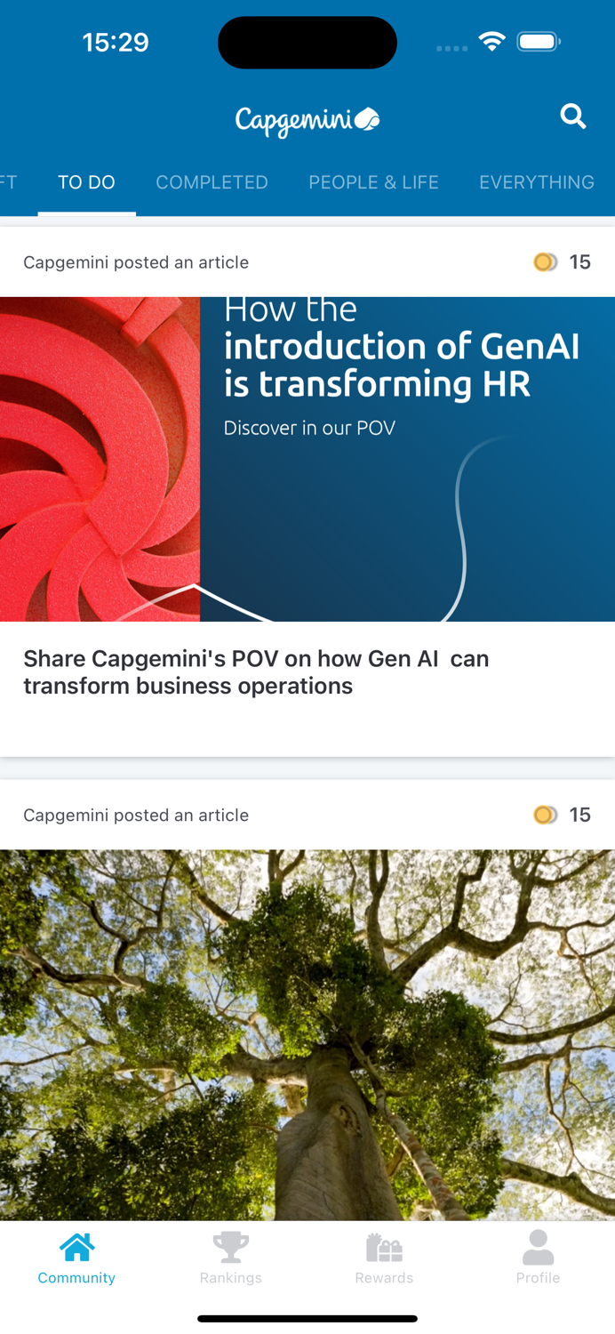 Capgemini Ambassadors