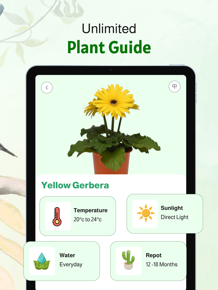 PlantPro Identifier  Disease