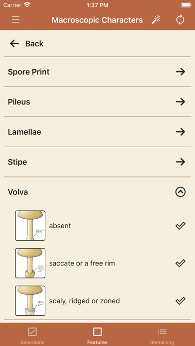 Screenshot #3 pour FunKey: Agarics of Australia