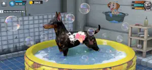 Dog Life: Animal Rescue Games screenshot 3