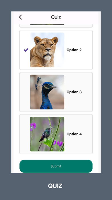 Fun Learning Quizzes for Kids Screenshot