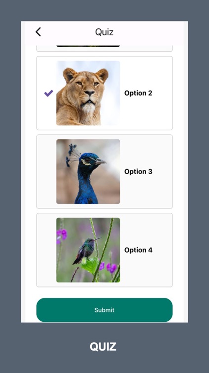 Fun Learning Quizzes for Kids