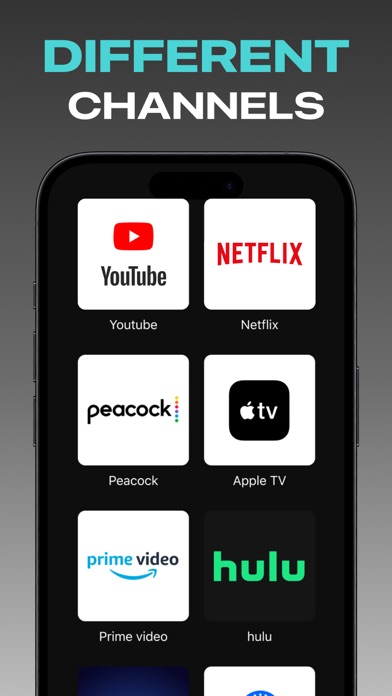 #1 Universal Remote TV Control Screenshot