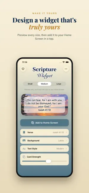 Scripture Widget screenshot 1