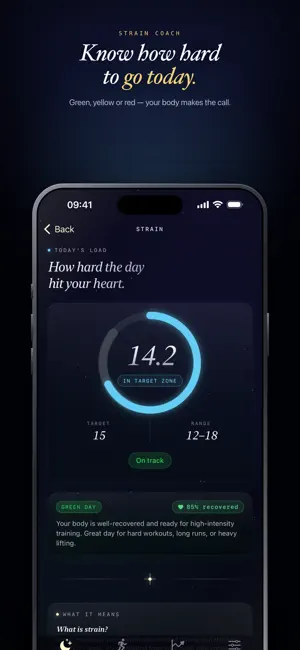 SleepStats: Tracker & Recovery screenshot 4