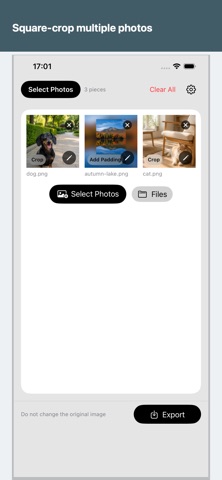 Batch Square Crop & Padding Screenshot 1 of 5